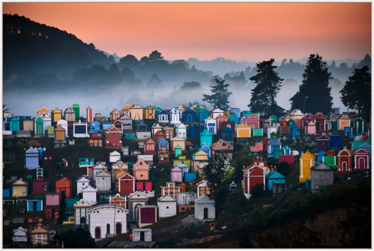 COLOR WITH LIFE