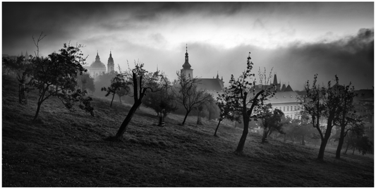 PRAGUE TOWER'S