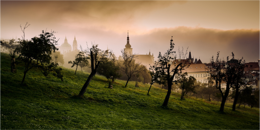 PRAGUE TOWER'S